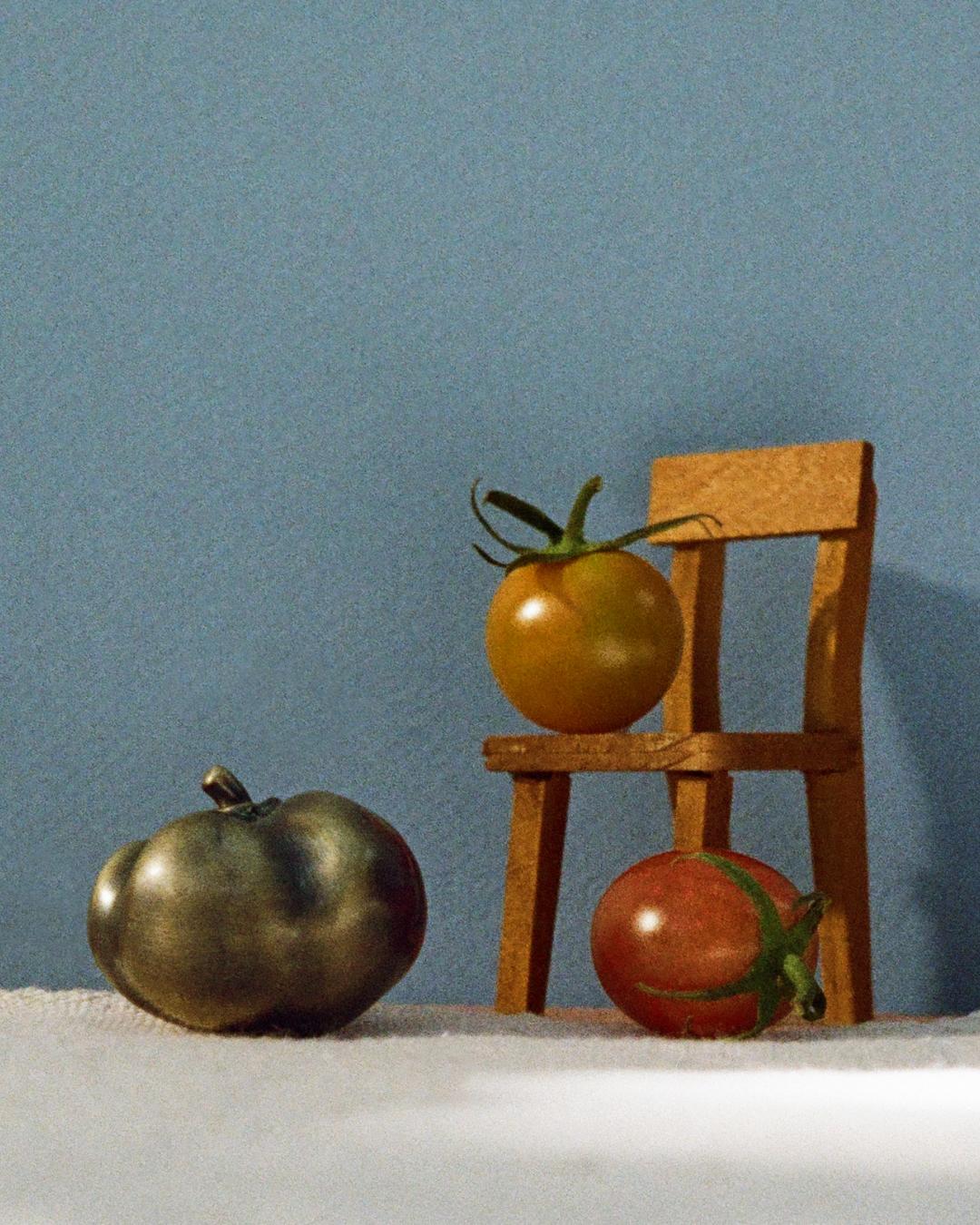 Orto Cabinet Knob